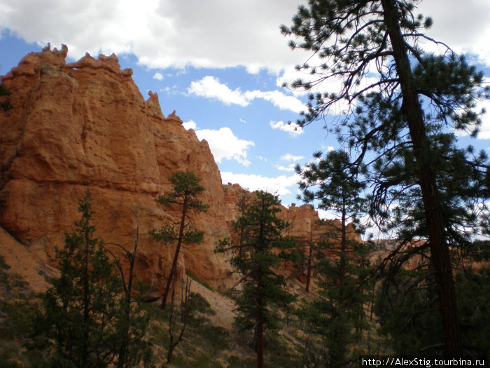 Bryce canyon Национальный парк Брайс-Каньон, CША