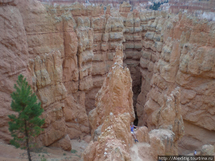 Bryce canyon Национальный парк Брайс-Каньон, CША