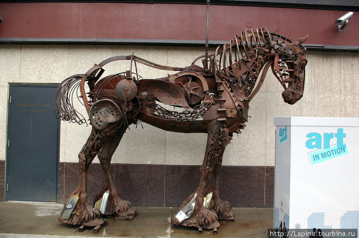 До кучи — железный скелет лошади. Калгари, Канада