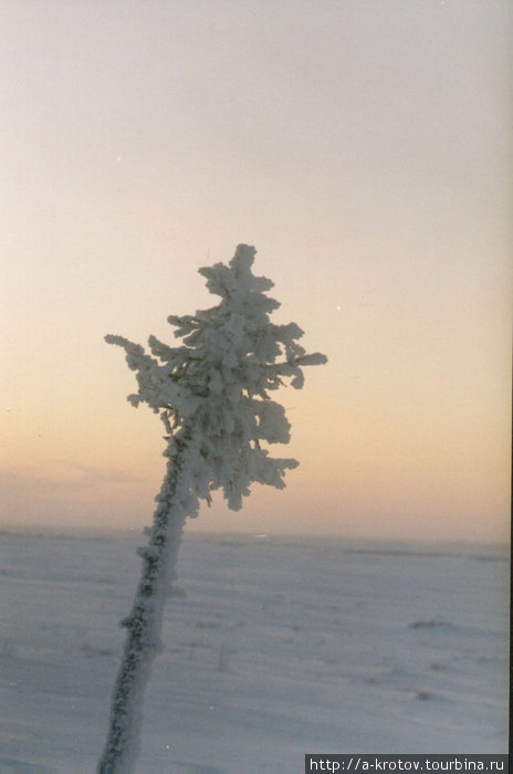 Поездка зимой в заполярный  Нарьян-Мар (Ненецк.АО) Нарьян-Мар, Россия