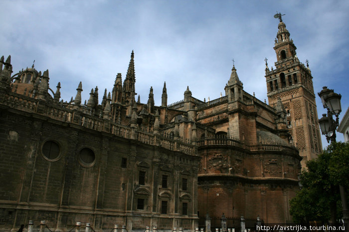 Кафедральный собор и Хиральда Севилья, Испания