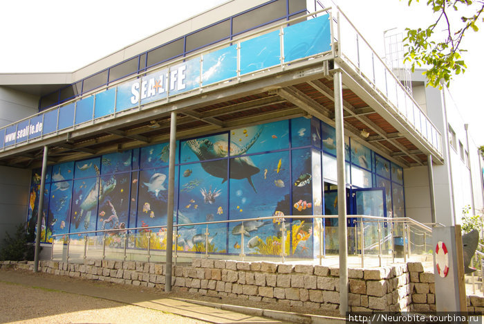 Шпайерский аквариум 