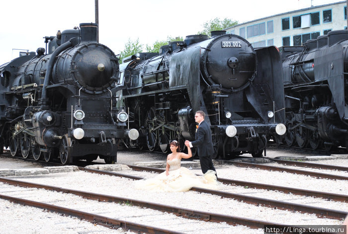 Эта пара решила не только провести свадебную фотосессию в Парке железных дорог, но и саму церемонию бракосочетания, а также свадебный банкет.  Парк при этом не закрывали на спецобслуживание. Будапешт, Венгрия