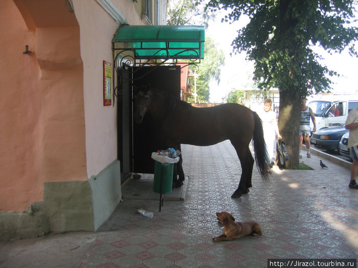 Селигерский край Россия