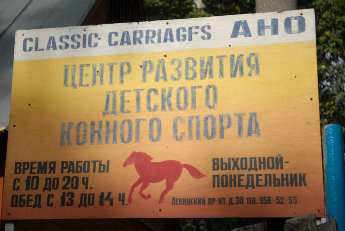 Центр развития детского конного спорта
