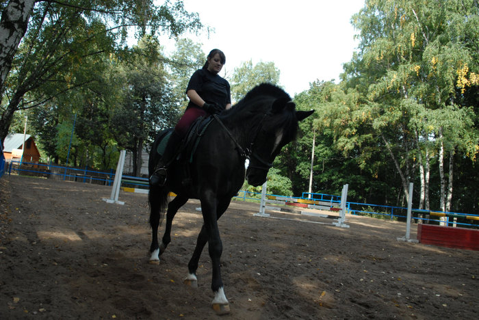 Центр развития детского конного спорта Москва, Россия