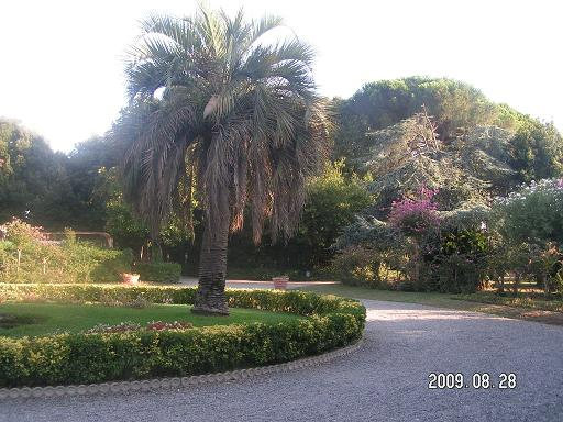 В городском саду Ливорно, Италия