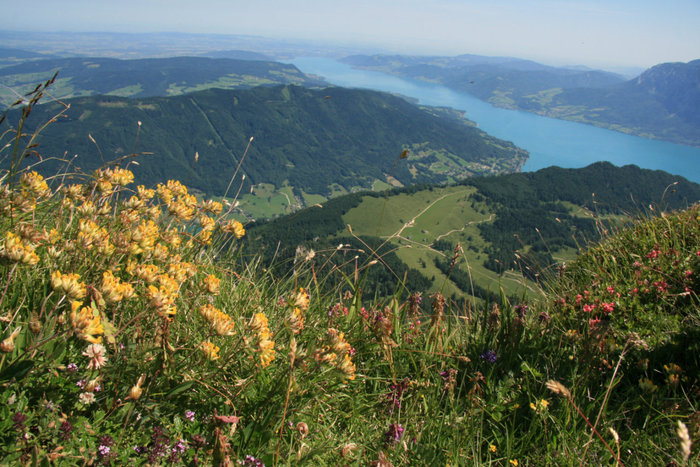 вид на озера с высоты Санкт-Вольфганг, Австрия