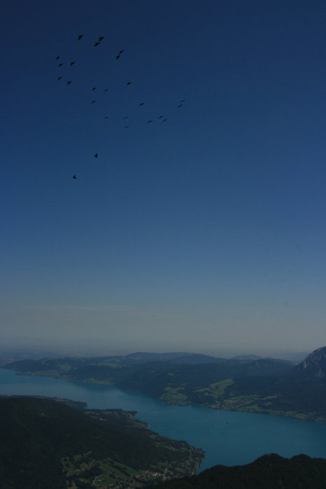 вид на озера с высоты птичьего полета Санкт-Вольфганг, Австрия
