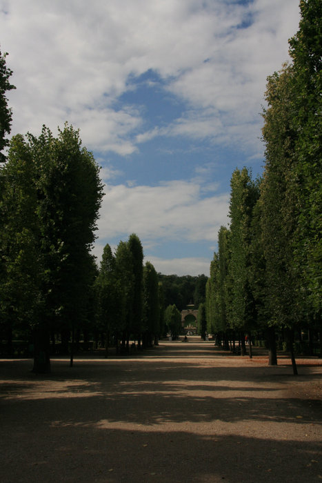 парк во дворце Шенбрунн Вена, Австрия
