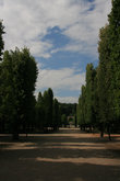 парк во дворце Шенбрунн