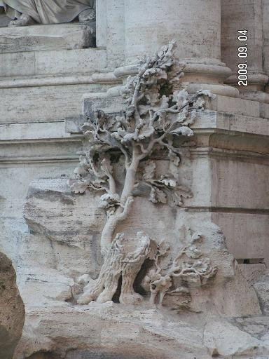 Каменное дерево Рим, Италия