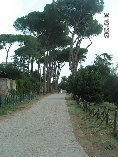 Под сенью деревьев Рим, Италия