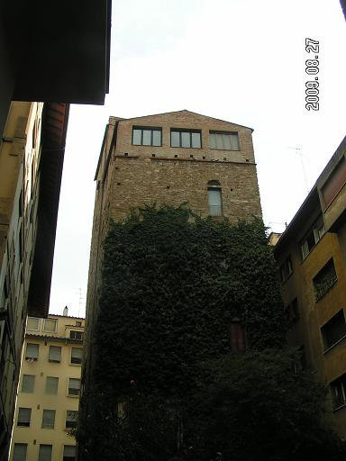 Заросшая башня Флоренция, Италия