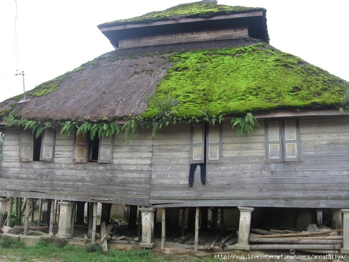 Как я уже говорила, сейчас такие дома уже не строят. Современные дома батаков-каро выглядят или совсем обычно, или так.. Индонезия