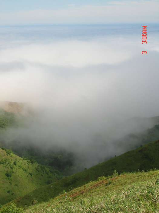 Цапко Сахалинская область, Россия