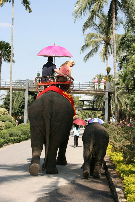прогулка на слонах в парке Нонг Нуч Паттайя, Таиланд