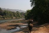 прогулка на слонах