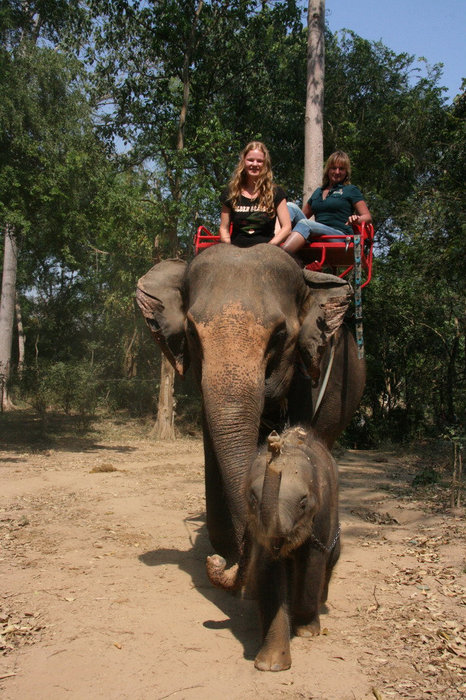 прогулка на слонах Канчанабури, Таиланд
