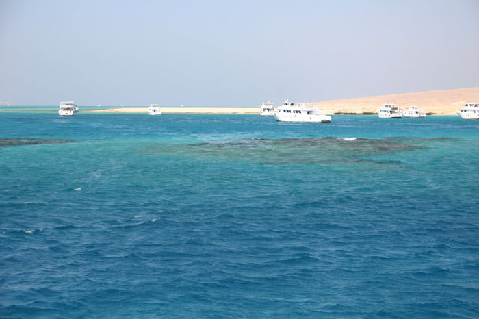 коралловый риф Макади-Бей, Египет