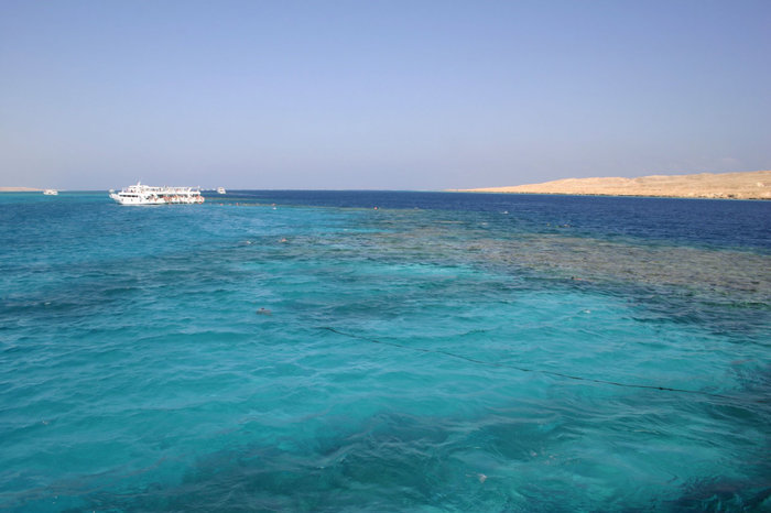 коралловый риф Макади-Бей, Египет