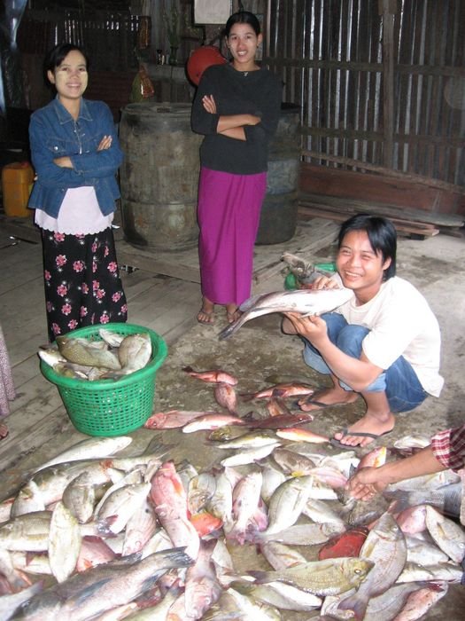 Рыбу они привозят на местный минирынок, где сортируют, моют, грузят на велорикши и развозят по домам, отелям и ресторанам для туристов. Мьянма