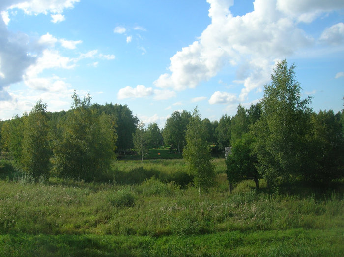 Территория музея деревянного зодчества Кострома, Россия
