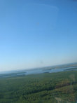 Волга за лесом