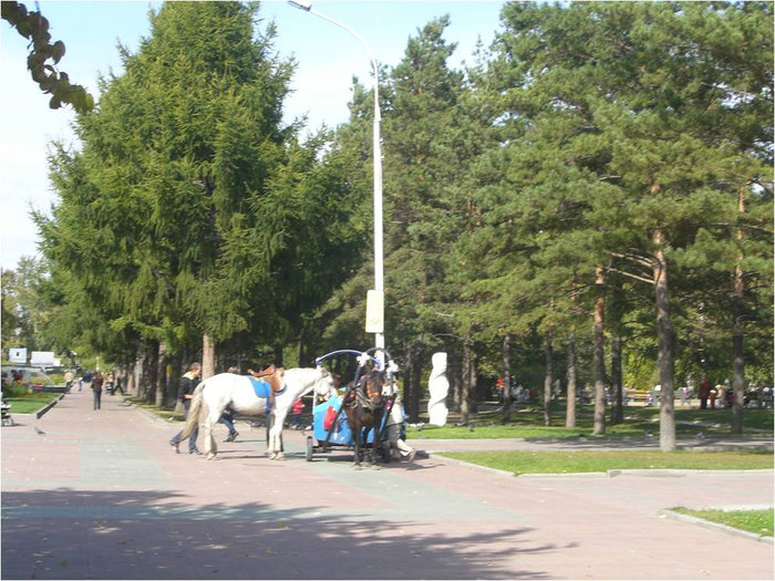 Можно прокатиться на лошади Новосибирск, Россия