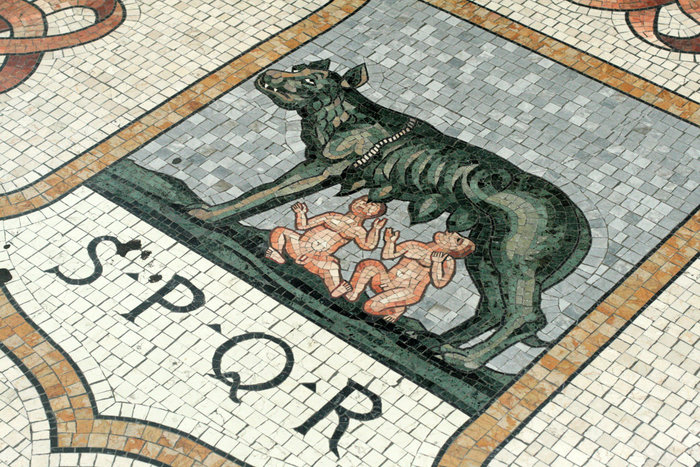 мозаика на полу в галерее Витторио Эммануэле II Милан, Италия