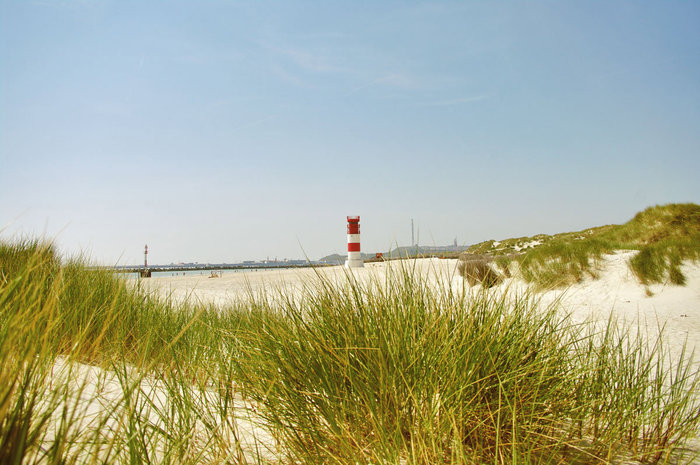 Когда-то сюда привезли очень много песка, чтобы увеличить остров — и он уже успел порости высокой травой... Хельголанд, Германия