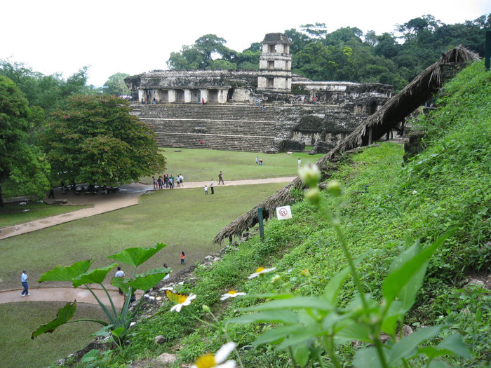 Вид на королевский дворец. Паленке, Мексика