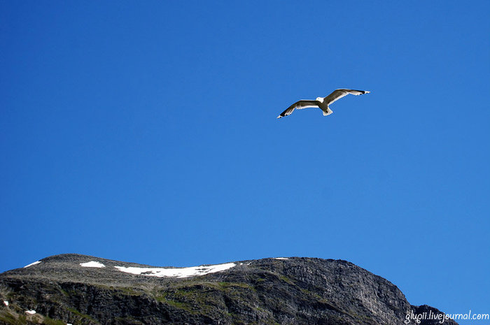 Жарища неимоверная, +35 в тени, а на вершинах гор лежит снег. Гейрангер - Гейрангерфьорд, Норвегия