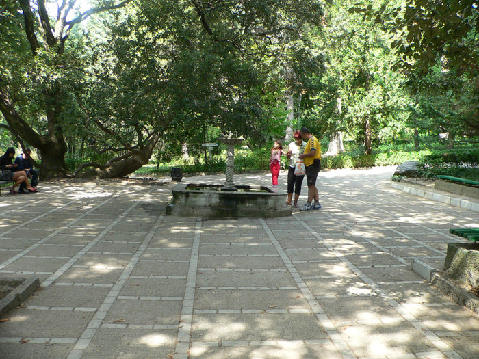 Никитский ботанический сад Ялта, Россия