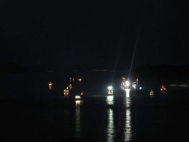 Ночь рыбака в Трибуне (фото моих гостей) Водице, Хорватия