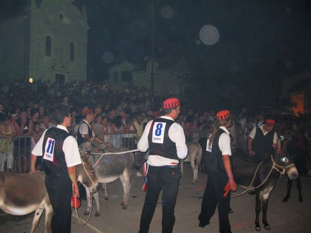 Гонка на ослах в Трибуне Водице, Хорватия
