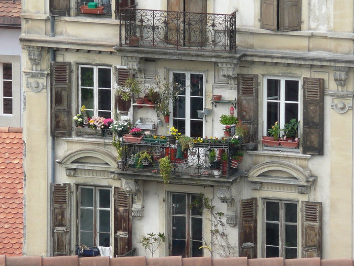Цветочки Лозанна, Швейцария