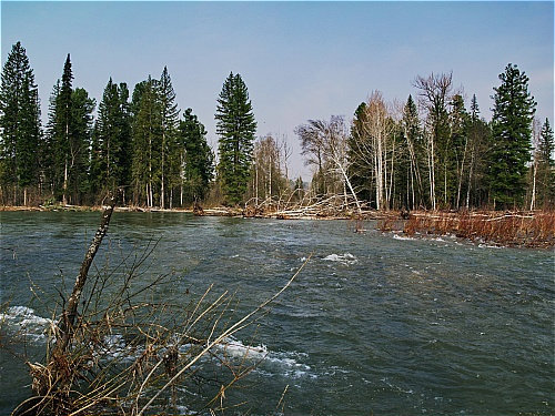 река Терсь Новокузнецк, Россия