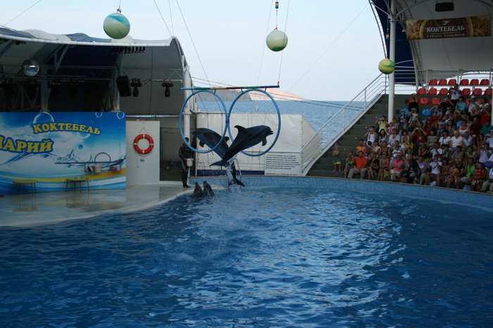 Вальс с дельфинами Коктебель, Россия