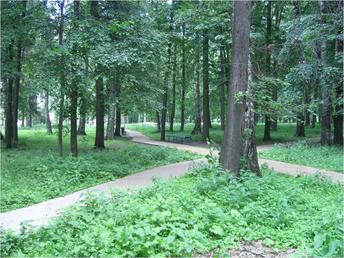 Парк рядом с озером Зеленодольск, Россия