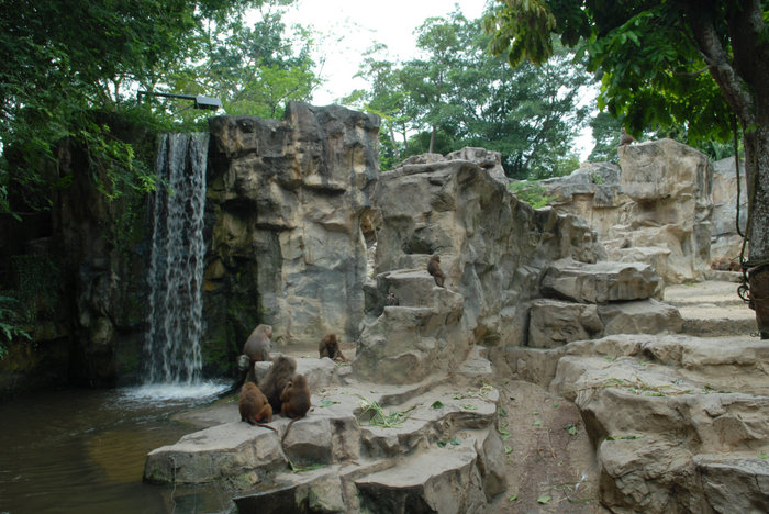 Зоопарк Сингапур (город-государство)