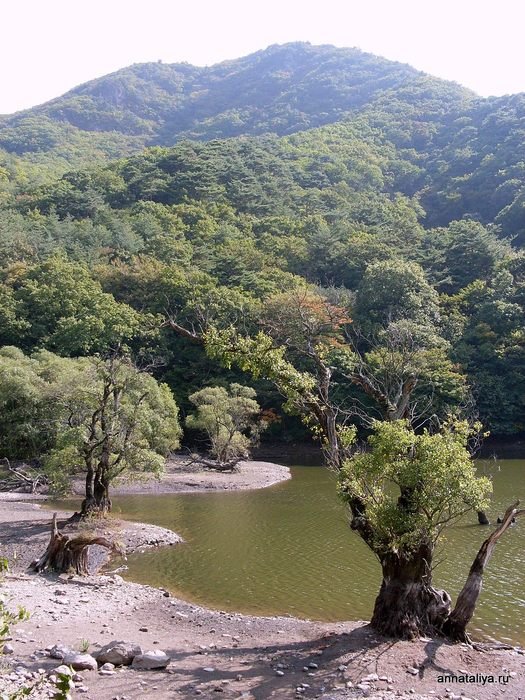 Еще несколько видов на пруд. Провинция Северная Кёнсан, Республика Корея