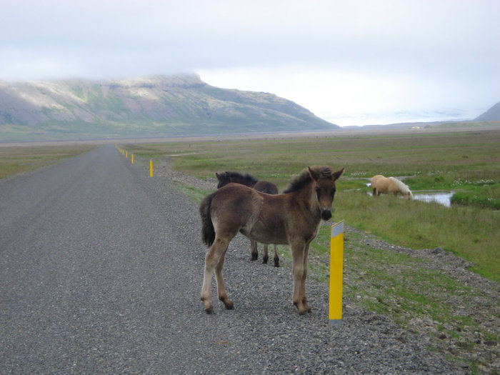 Прогулка Исландия