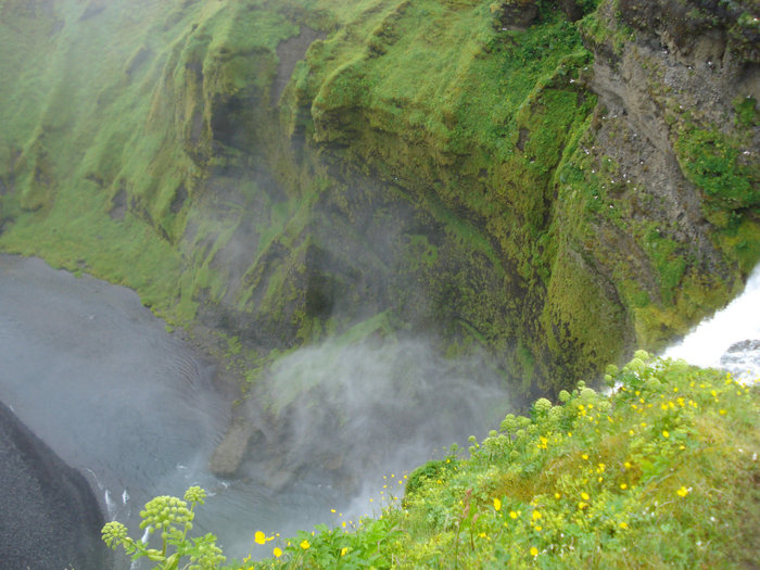 Река Скога дарует жизнь водопаду Скогафосс Исландия