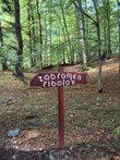 Национальный парк Биоградска гора