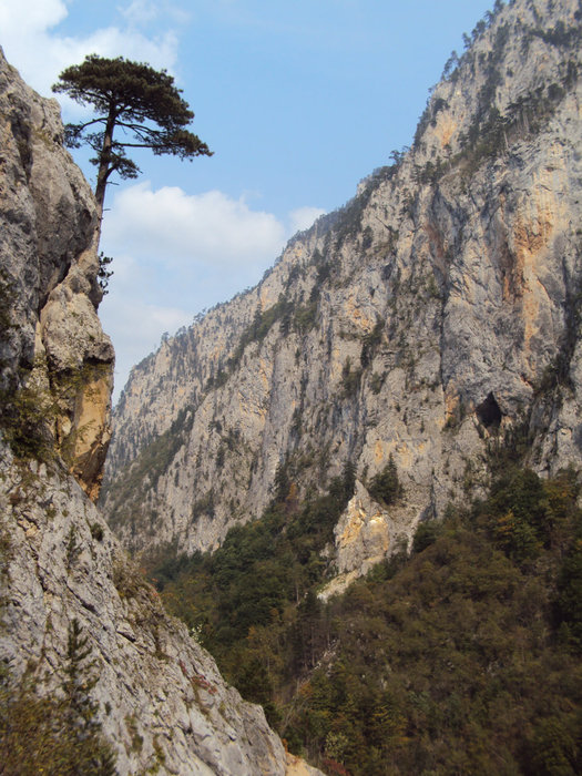 Каньон реки Тара — самый глубокий в Европе и второй в мире Черногория