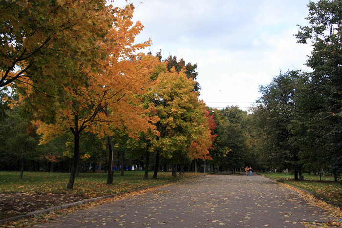 аллея в парке Красная Пресня Москва, Россия