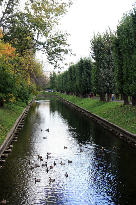 речка в парке Красная Пресня Москва, Россия