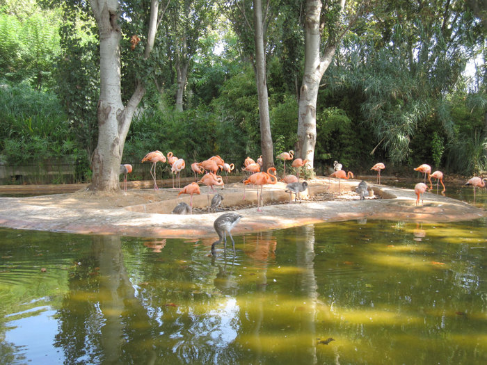 Зоопарк Барселоны Барселона, Испания