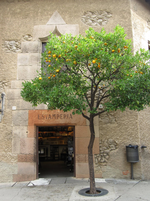 Испанская деревня Барселона, Испания